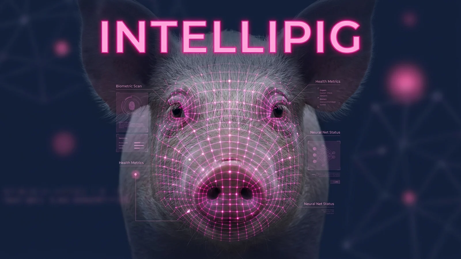 Intellipig: La IA que lee el rostro de los animales para medir su dolor